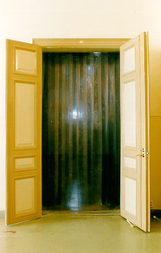 Entré, a plastic curtain.