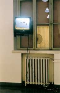 On the back wall, a monitor displaying a remote seascape.