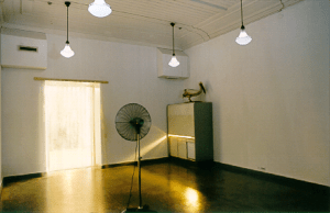 The curtain, the fan, blue lighting and a pelican.