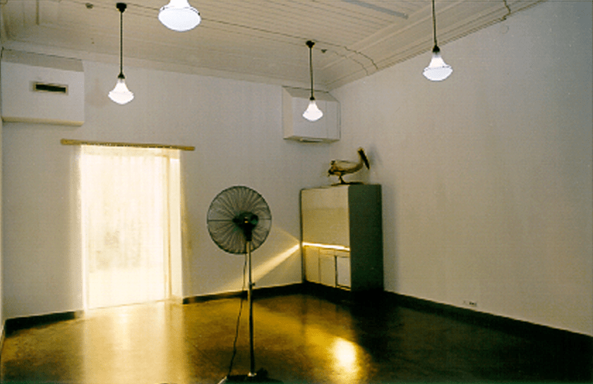 The curtain, the fan, blue lighting and a pelican.